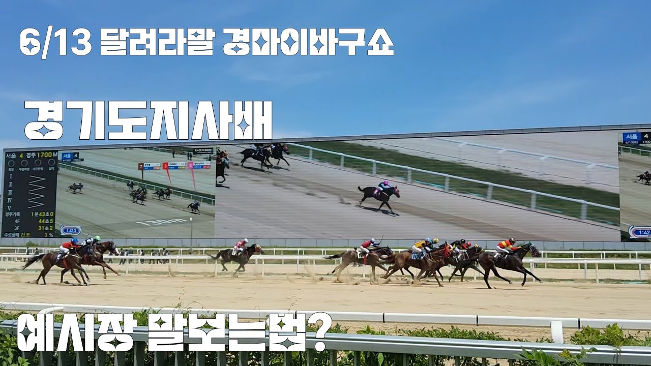말들이 경주전 대소변을 보면 안들어 온다고?(경마장 들어가면서)