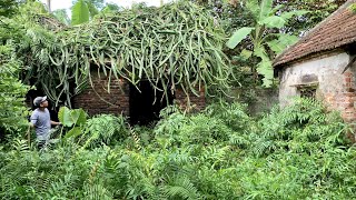 การทำความสะอาดบ้านร้างที่เหลือจากปี 1954 สร้างความสับสนให้กับความคิดเห็นของสาธารณชน