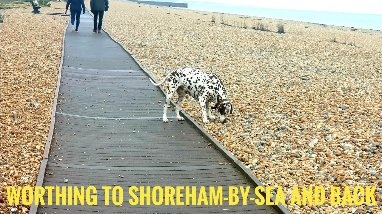 Sussex Coastal Walk From Worthing to Shoreham-by-Sea and Back (Wednesday Walk by Water)