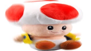 TOAD'S ENDLESS SUFFERING
