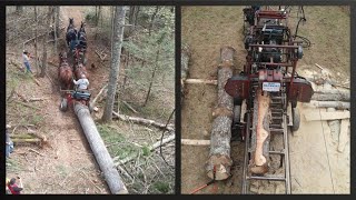 Horse Logging and Sawmill Operation: Building a Barn | Jason Rutledge