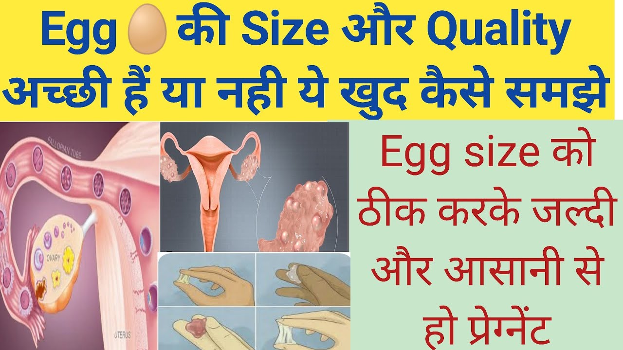 Egg🥚ki Quality achi nahi hai, Size sahi nahi hai, Egg ki vajah se