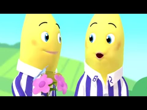 Happy Flowers - Full Episode Jumble - Bananas In Pyjamas Official