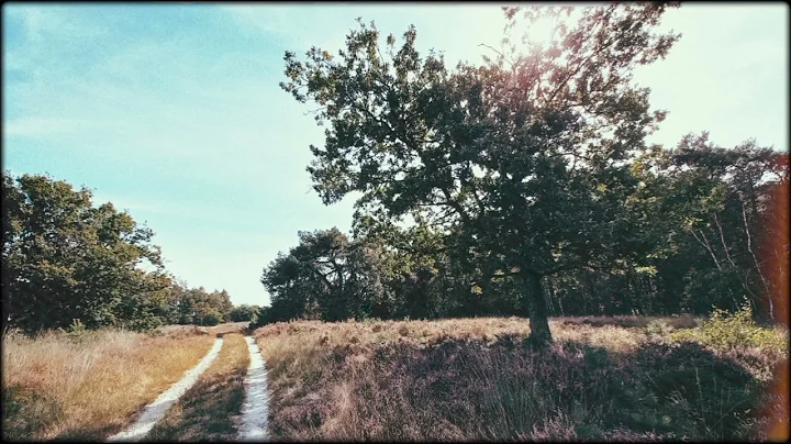 The Doctrine of Sanctification, Part 2 (Romans 6:1-23) - Dr. J.I. Packer