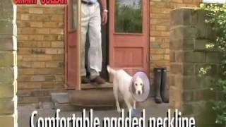 1202  SMART COLLARS   Company of Animals screenshot 5