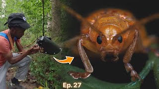 Macro Photography in The Field | Ep. 27