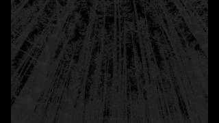 Download Lagu Dont Listen Warning Binaural Spooky MP3 Dont Listen Warning Binaural Spooky