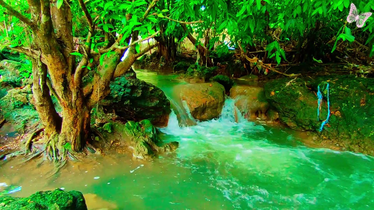 Relaxing Music For Stress Relief, Anxiety and Depressive States🌲Heal Mind, Body and Soul 46