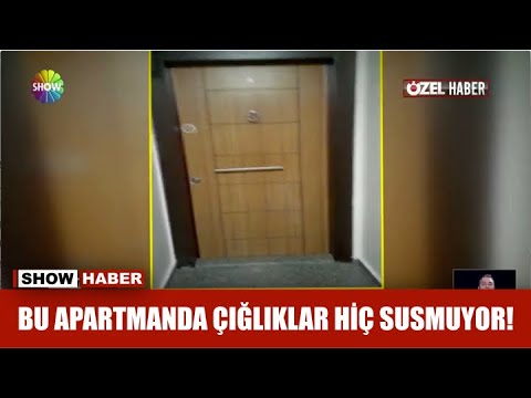 Bu apartmanda çığlıklar hiç susmuyor!