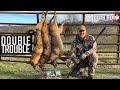 Double Trouble - Coyote Hunting