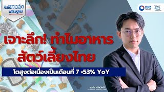 เจาะลึก! ทำไมอาหารสัตว์เลี้ยงไทย โตสูงต่อเนื่องเป็นเดือนที่ 7 +53% YoY #สัตว์เลี้ยง #อาหารสัตว์