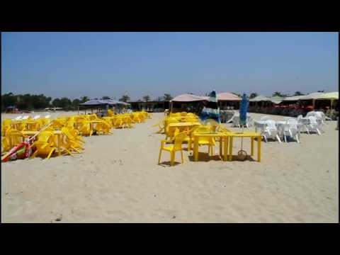 Jellyfishes caught on the beach by some swimmers. Thanks for watching www.TheLivePicture.com