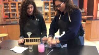 Strawberry DNA Extraction STEM SOS PBL
