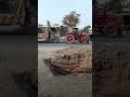 Belarus tractor viral