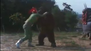 Greenman Vs Gorilla