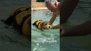 Hydrotherapy for Timo