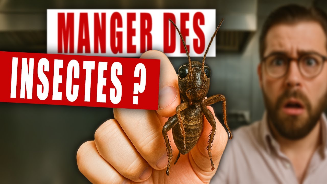 🦗 Allons nous tous manger des insectes ? (avec le chef Laurent Veyet) | DTA#06