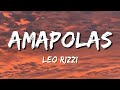 Leo Rizzi Amapolas Letra Lyrics mp3