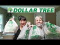Dollar Tree Haul | What My Mom And I Bought | Seasonal And More