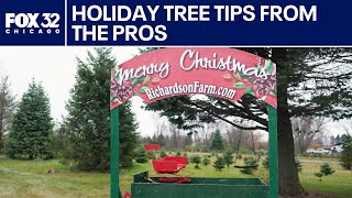 What Makes a Perfect Christmas Tree? Inside Richardson Christmas Tree Farm