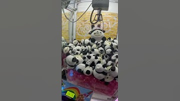 Lose some win some ✨