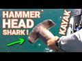 INSANE kayak Offshore Action - My first HAMMER HEAD SHARK !