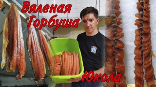 Как приготовить Вяленую соломку и юколу из Лосося (горбуши) + вкусный конкурс в конце! Прими участие