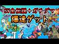 【ポケモンSV 】全伝説+ガチグマ 爆速ゲット!【ゆっくり解説】
