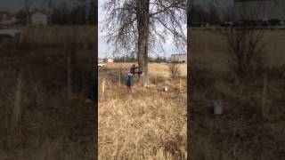 Guys cut tree with jack