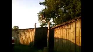 Saulutės Trick I Suktuka