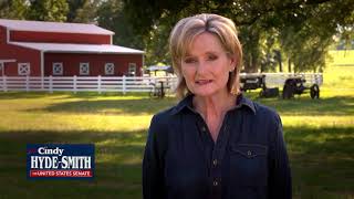 Cindy Hyde-Smith for U.S. Senate — "Constitution"