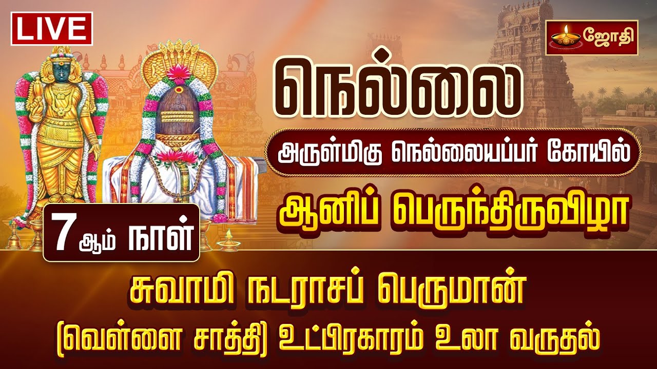 🔴LIVE : நெல்லை அருள்மிகு நெல்லையப்பர் கோயில் ஆனிப் பெருந்திருவிழா 7ஆம் நாள் சப்பரம் | Jothi Tv