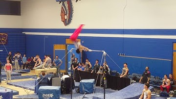 Jonathan Liu - 2017 Regional Championships High Bar