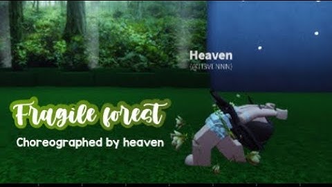 Fragile Forest, solo || 💞ORA | Dance Moms Studio