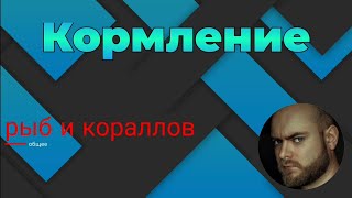 видео: Кормление рыб и кораллов. картинка: Кормление рыб и кораллов.