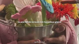 hoshi — baby, honey | türkçe çeviri