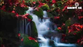 Phina-Upo Nyonyo (official lyric video)