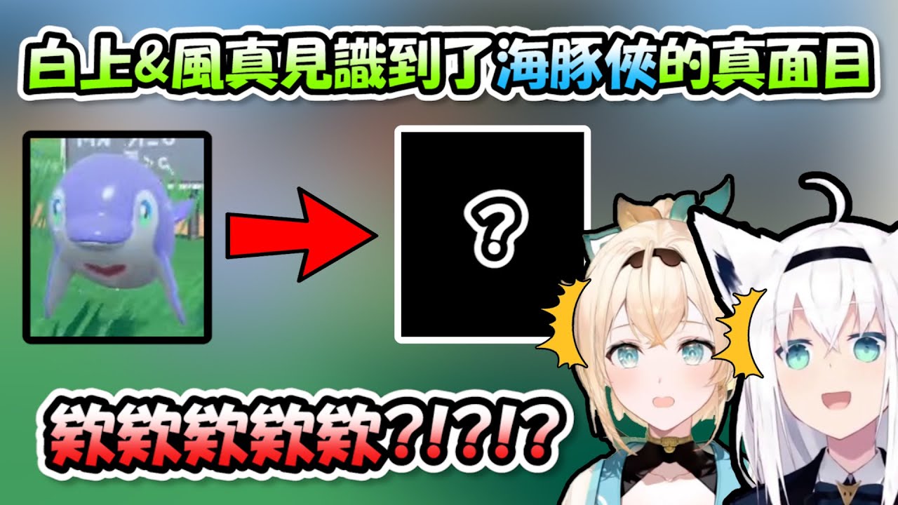 白上跟風真見識到了「海豚俠」的真面目...驚訝到只能一直狂笑www【白上フブキ x 風真いろは】【Hololive/ホロライブ】【vtuber中文字幕】