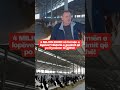 4 MILION EURO në fermën e lopëve? Historia e guximit që po frymëzon të gjithë!