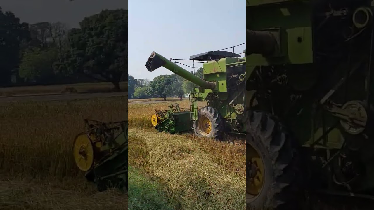 dhaan katne wali machine #youtube #trending #viral #shorts #video