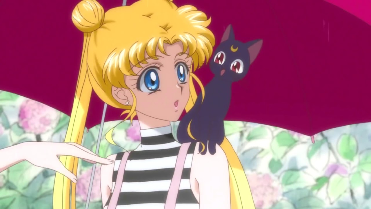 Black Dog Sailor Moon