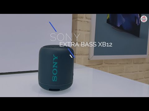 Our First Impressions On The Sony Extra Bass SRSXB12 | HotDeals360