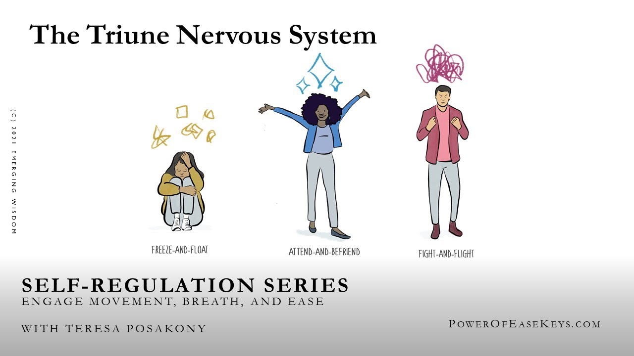 Your Triune Nervous System with Teresa Posakony - (Self-Regulation Video Series 7/10)
