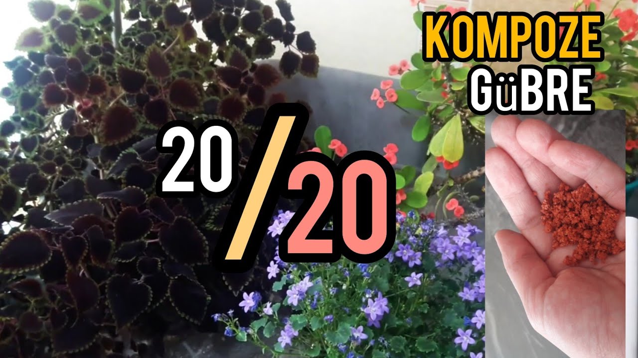 Использование комплексного удобрения 20/20 – удобрения, усиливающего цветение –