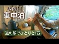 50代看護師のお試し車中泊。DIYしたミニバンで秋を感じに。南信州 秋の花めぐり…のはずが花より団子 /道の駅南アルプスむら長谷/豊丘ダリア園/喬木フラワーパーク/信州高遠温泉さくらの湯/小渋ダム