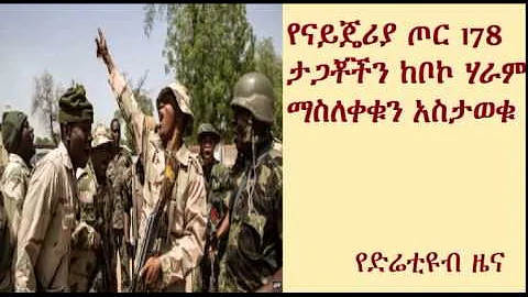 Nigerian military says it has rescued 178 captives from Boko Haram