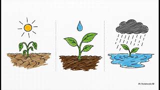 IoT Sensor Systems for Environmental Monitoring and Control