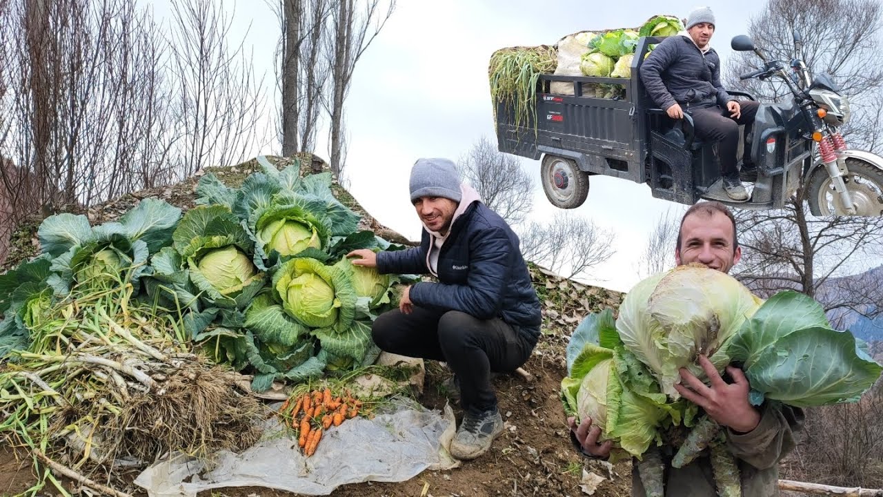 KAR GELİYOR !!! KAR GELMEDEN BAHÇEMİZİN SON MAHSULLERİNİ TOPLADIK