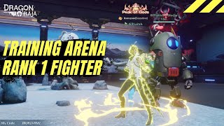 Dragon Raja - Training Arena Rank 1, Fighter Gameplay