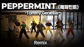 Download lagu Peppermint Remix(페퍼민트) - Tommy Genesis/ HIPHOP MIX /힙합베이직/운동량최고👍😅/다이어트댄스/거울모드